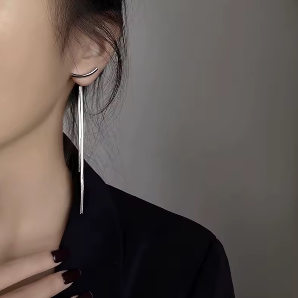 Elegant Silver Drop Earrings. Party Wedding Earrings. Unique Earrings